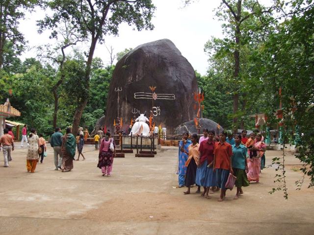 naidunia_image